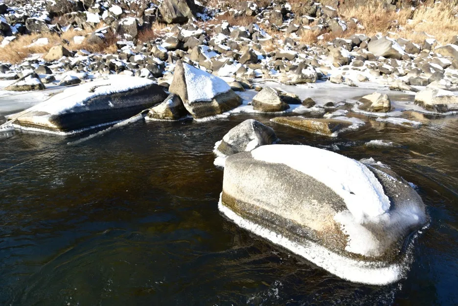 1%EC%9B%9412%EC%9D%BC_(51).JPG?type=w1