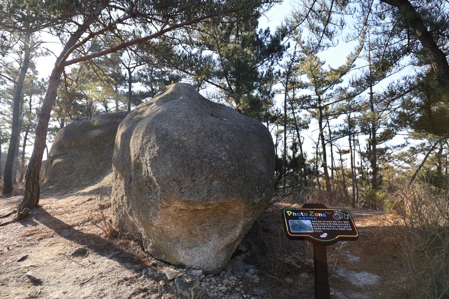 SE-ddbe3351-515f-47e4-8894-7b859fcc9864.jpg?type=w1