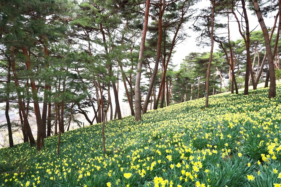 4%EC%9B%945%EC%9D%BC_(44).JPG?type=w966