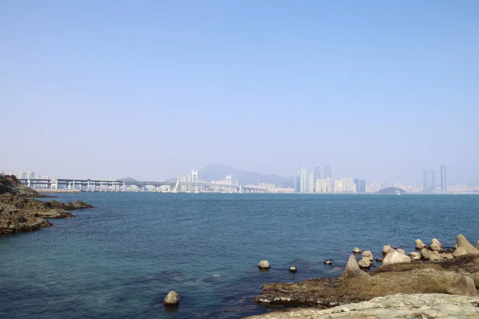 2%EC%9B%9426%EC%9D%BC_(113).JPG?type=w966