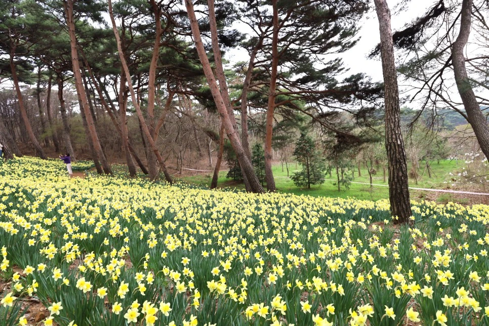 4%EC%9B%945%EC%9D%BC_(28).JPG?type=w966