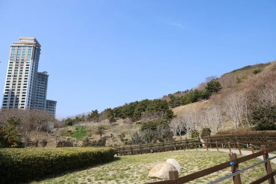 2%EC%9B%9426%EC%9D%BC_(15).JPG?type=w966