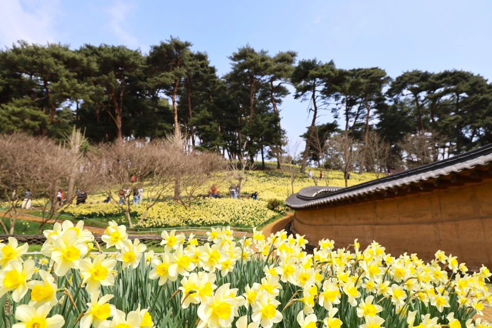 4%EC%9B%945%EC%9D%BC_(92).JPG?type=w966