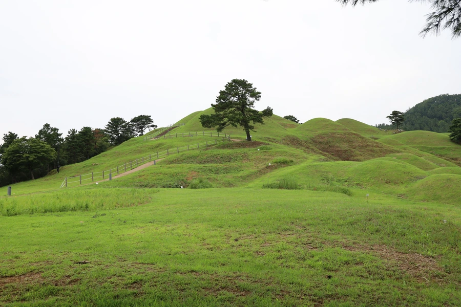 SE-9ace0f82-07de-4e37-81b8-062ecf5f7c5c.jpg?type=w1