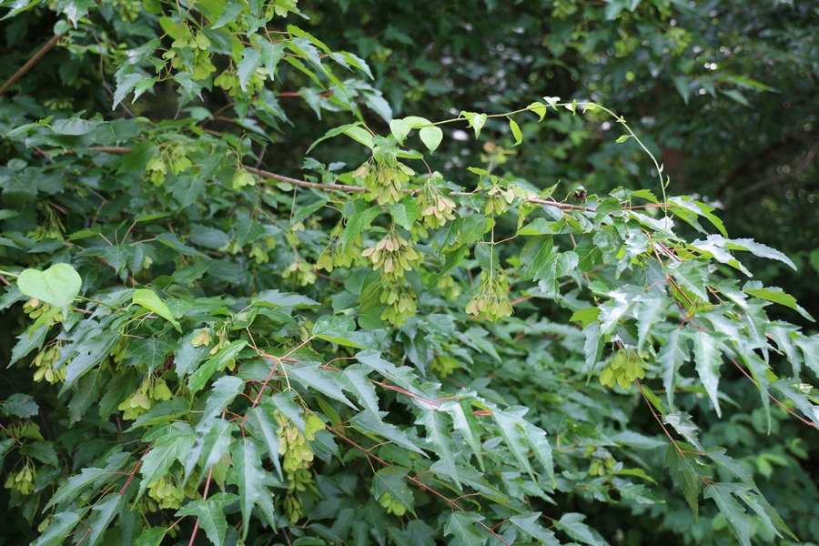 SE-c50f85e2-c206-430d-8343-e59e9784368c.jpg?type=w1