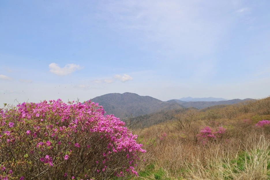 4%EC%9B%9428%EC%9D%BC_(144).JPG?type=w1