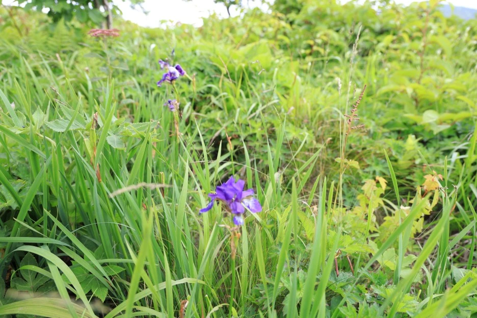 6%EC%9B%9428%EC%9D%BC_(199).JPG?type=w1