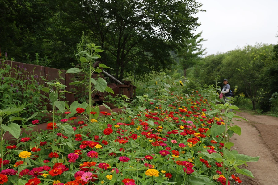 SE-e8004b58-7958-4d29-af56-5ba710e0a81b.jpg?type=w1