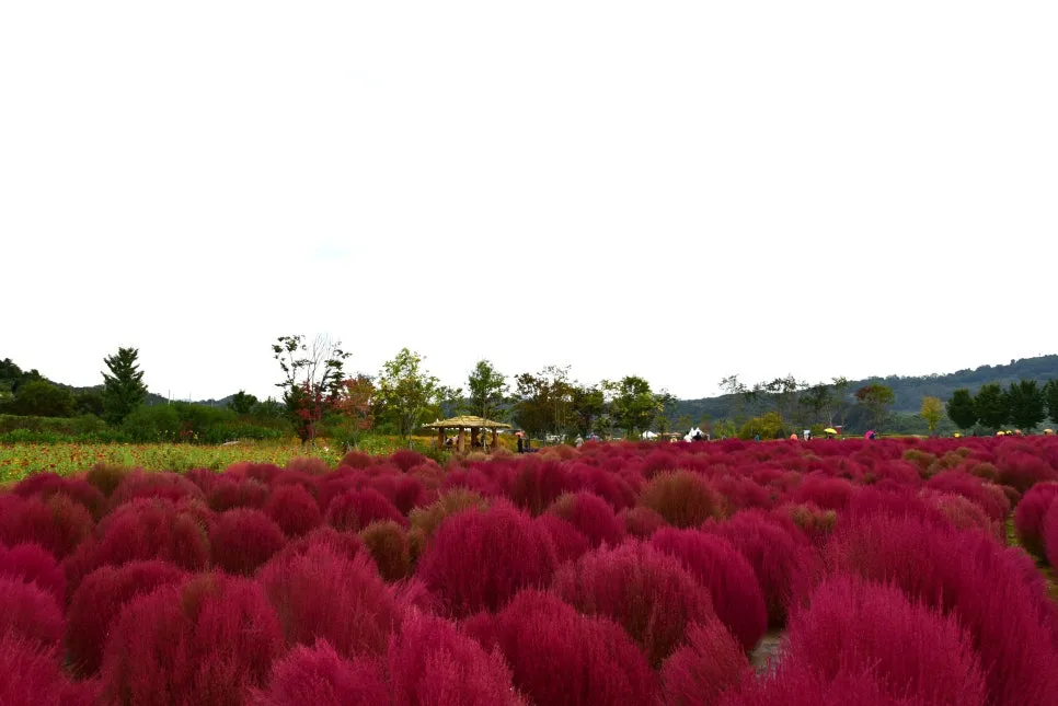 10%EC%9B%9414%EC%9D%BC_(57).JPG?type=w966