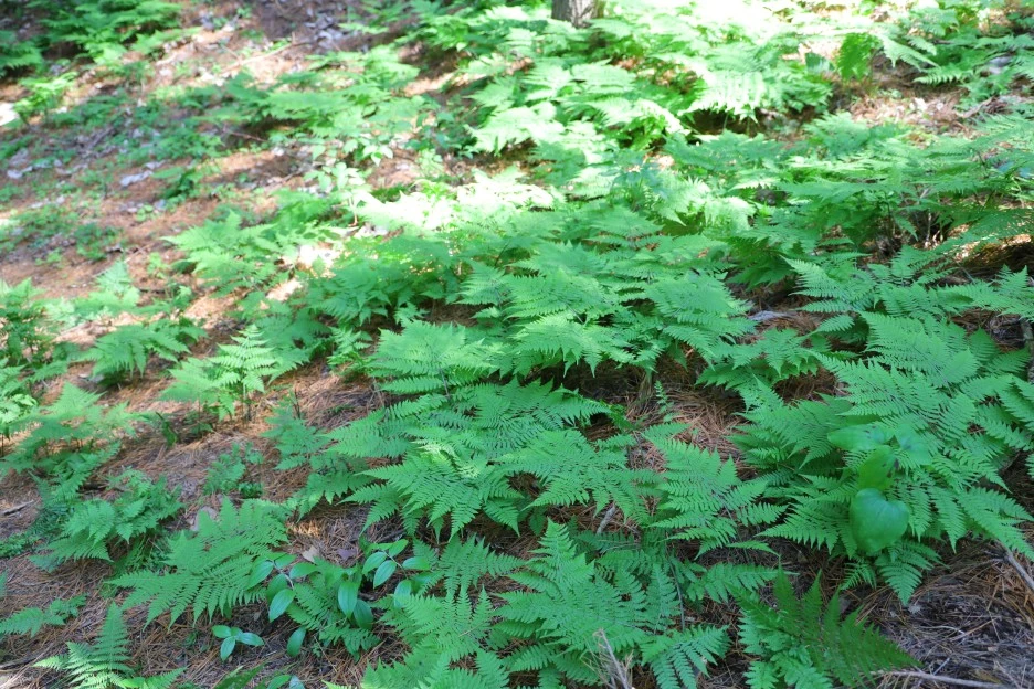 5%EC%9B%9410%EC%9D%BC_(172).JPG?type=w1