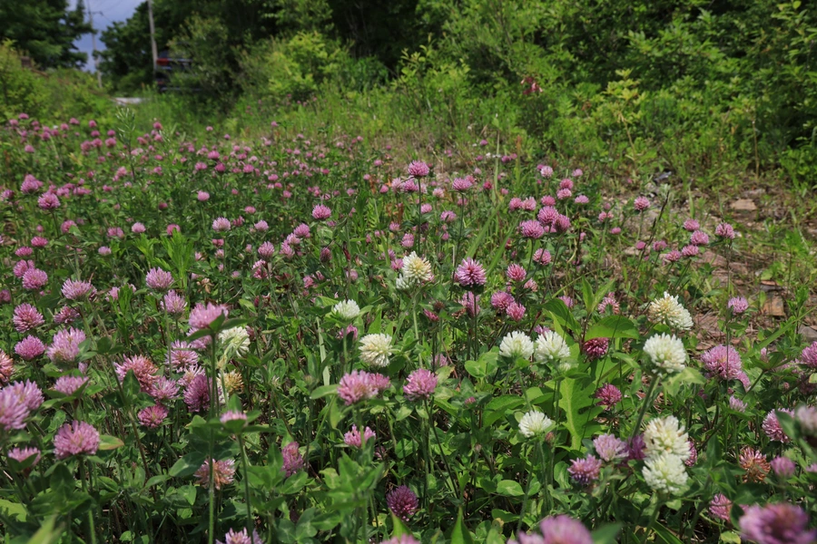 SE-48abc51c-d908-47b4-aba7-896cf33d9e9f.jpg?type=w1