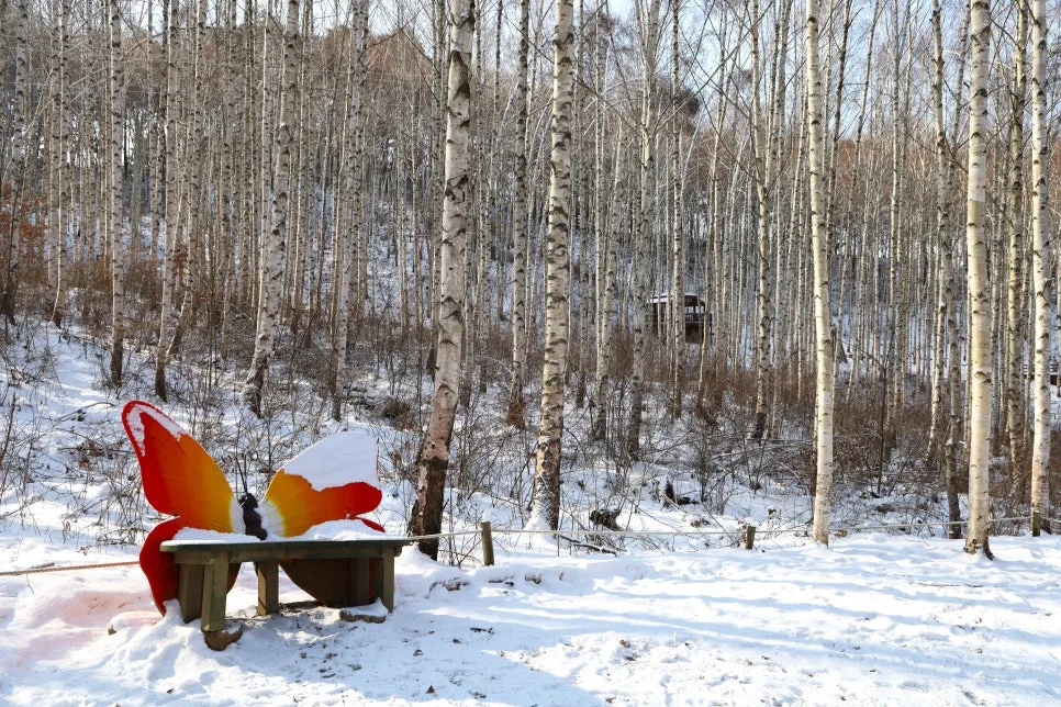 12%EC%9B%9426%EC%9D%BC_(70).JPG?type=w966