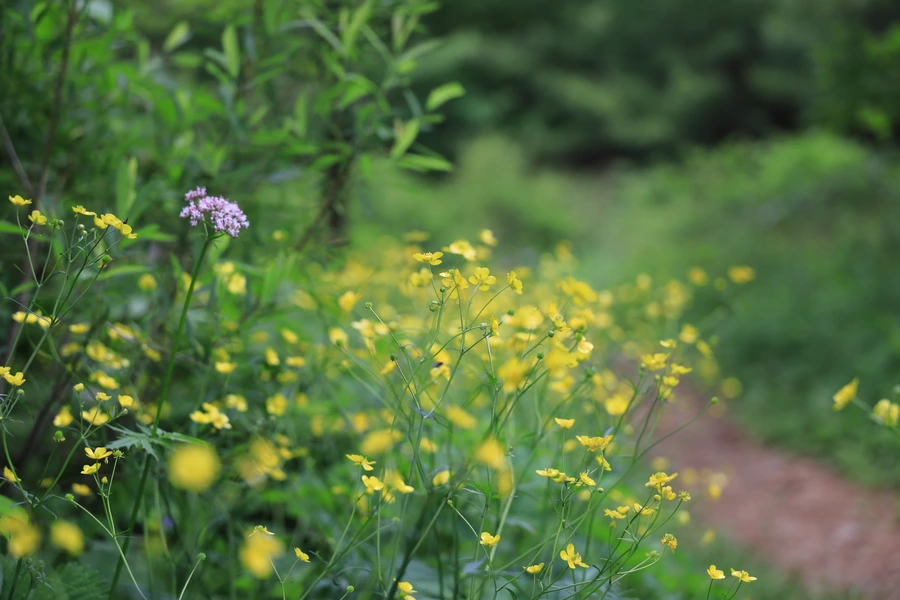 SE-15706fbb-05ad-42a8-a42c-8815970bb55a.jpg?type=w1