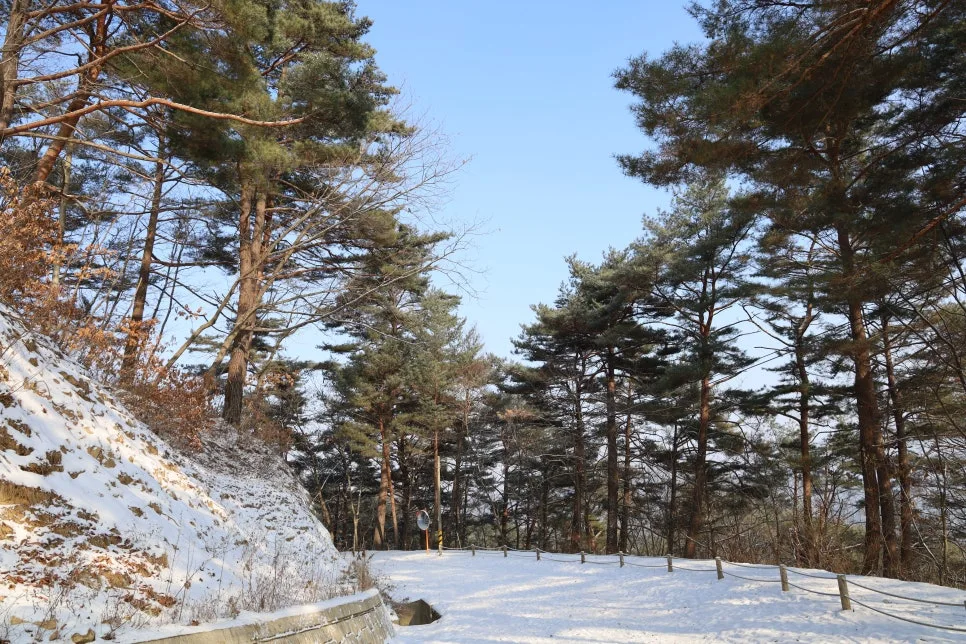 12%EC%9B%9426%EC%9D%BC_(13).JPG?type=w966