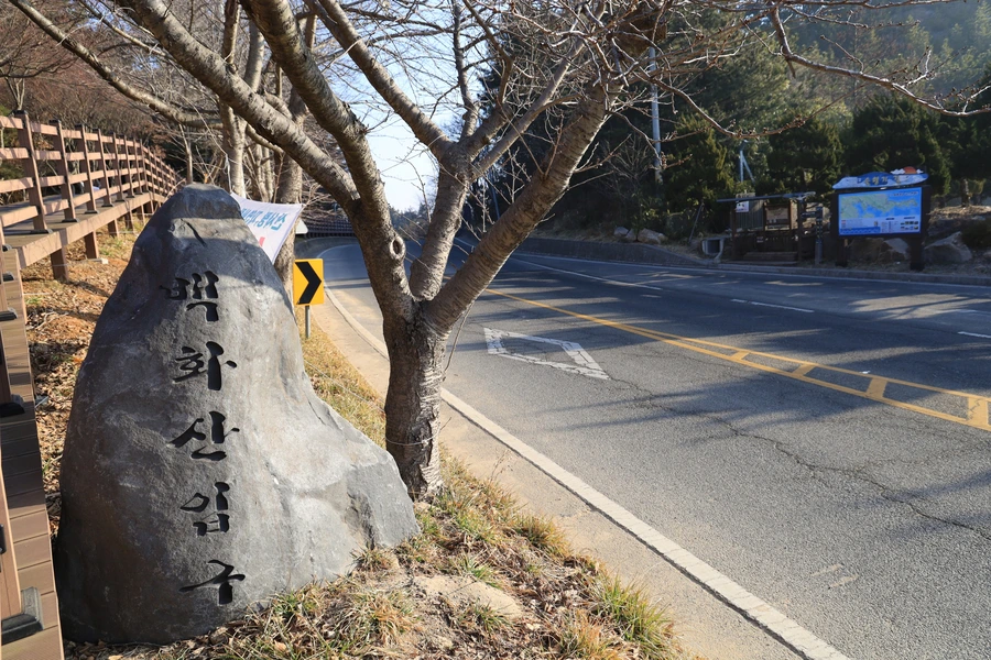 SE-7f2b39d3-ce76-4882-b8fd-9abe2c61093f.jpg?type=w1