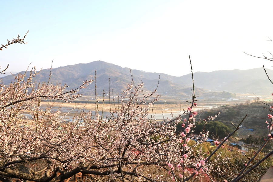 SE-7b778df3-658b-4722-b3b9-434a4966b27d.jpg?type=w1