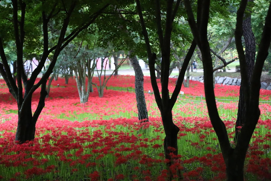 SE-d14df22e-3a55-4d10-a02b-876a6d0a0d28.jpg?type=w1