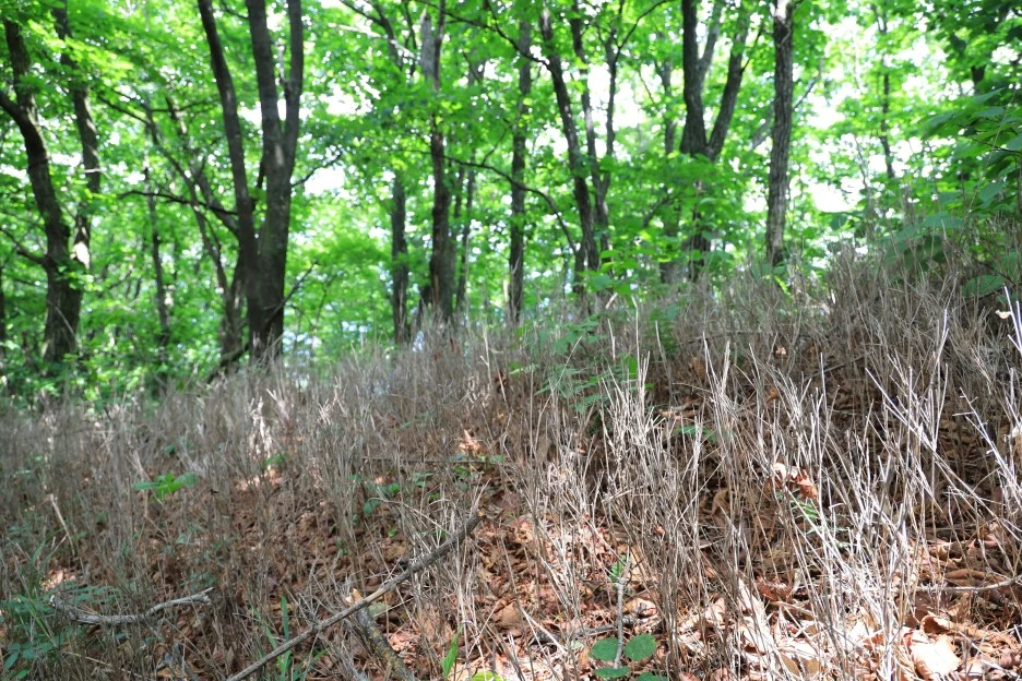 6%EC%9B%9428%EC%9D%BC_(113).JPG?type=w1