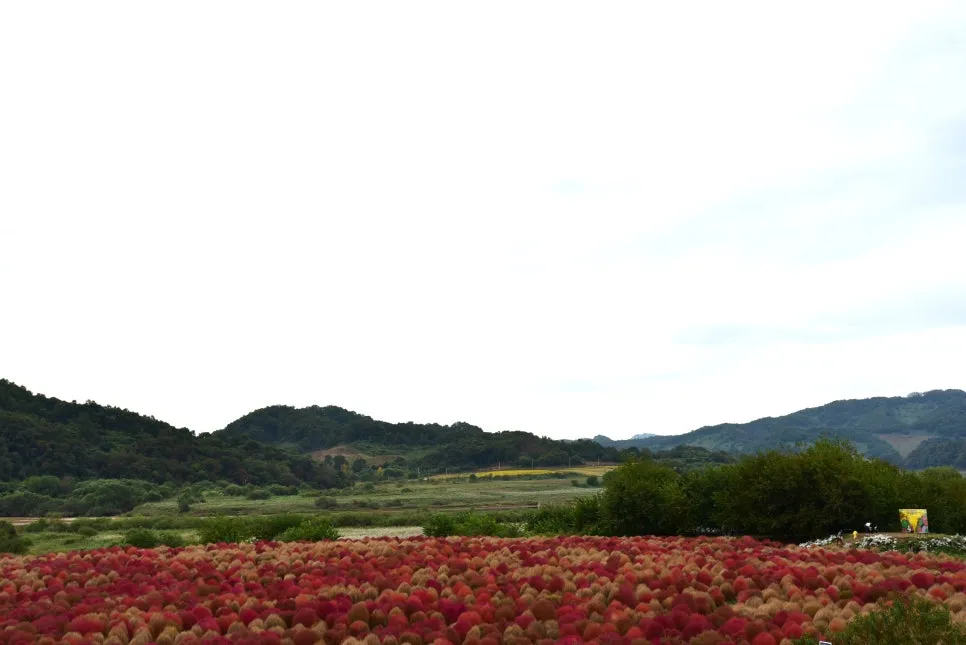 10%EC%9B%9414%EC%9D%BC_(60).JPG?type=w966