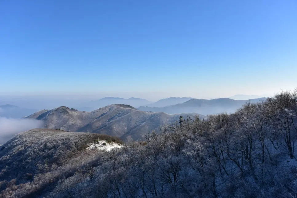 11%EC%9B%9426%EC%9D%BC_(15).JPG?type=w966