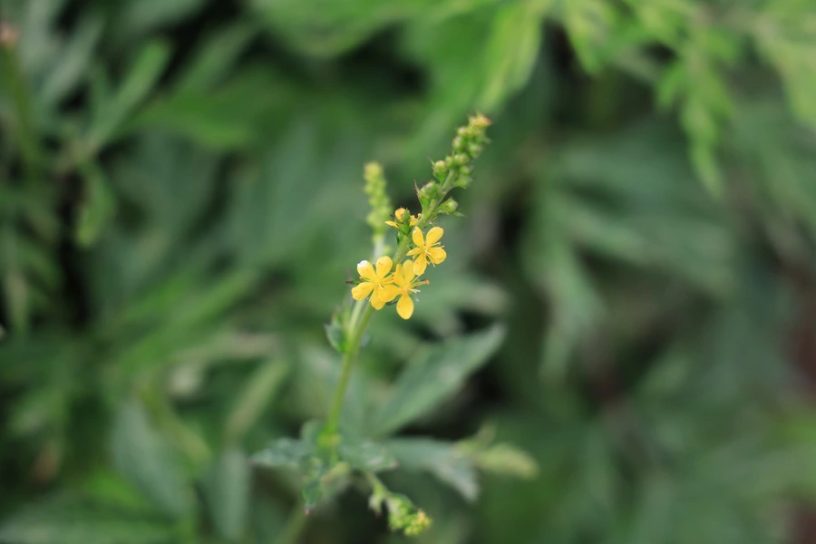 SE-109b67e4-6b44-4393-94ff-8eb4a91d2400.jpg?type=w1