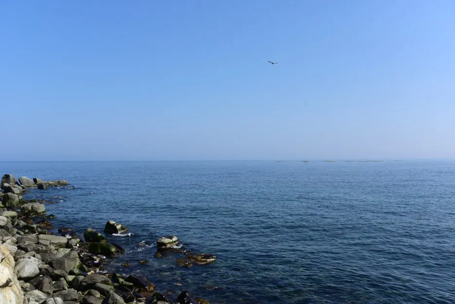 3%EC%9B%9411%EC%9D%BC_(3).JPG?type=w1