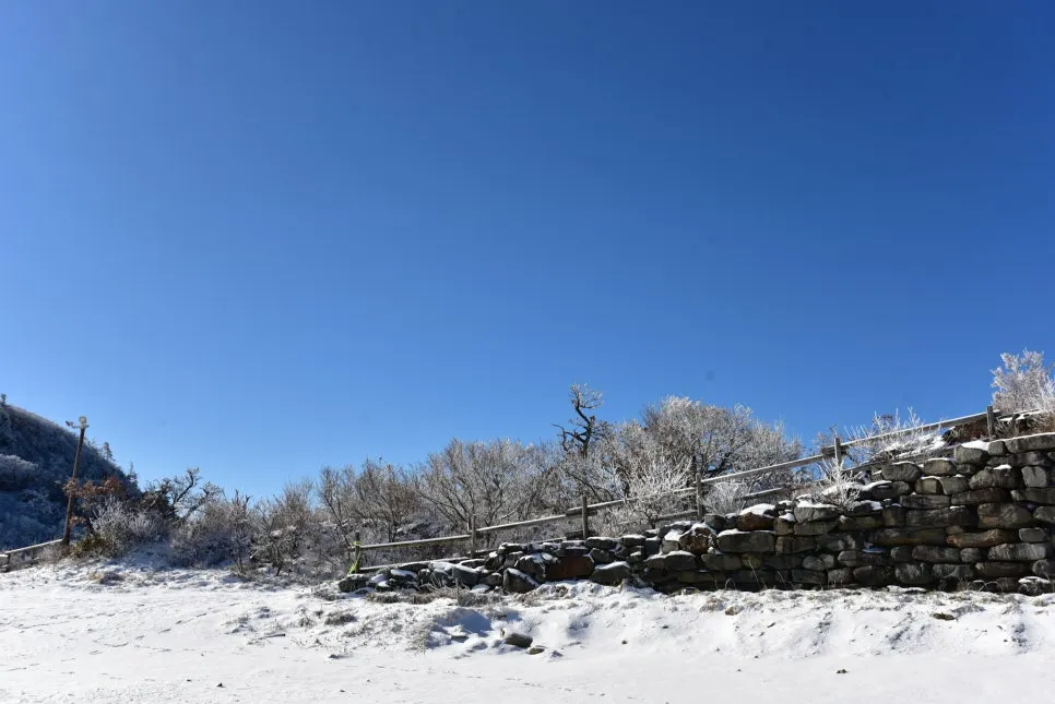 11%EC%9B%9426%EC%9D%BC_(30).JPG?type=w966