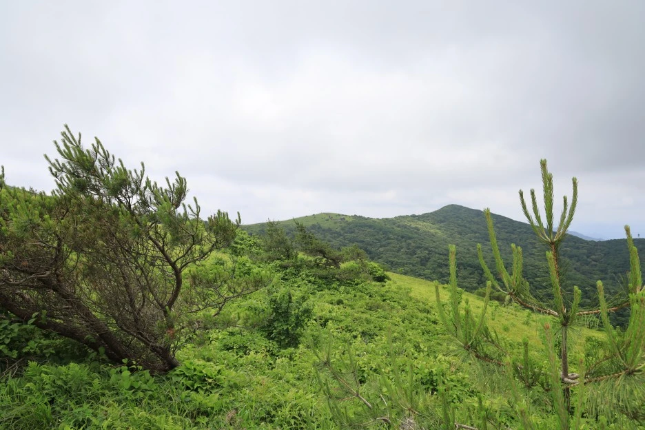 6%EC%9B%9428%EC%9D%BC_(187).JPG?type=w1