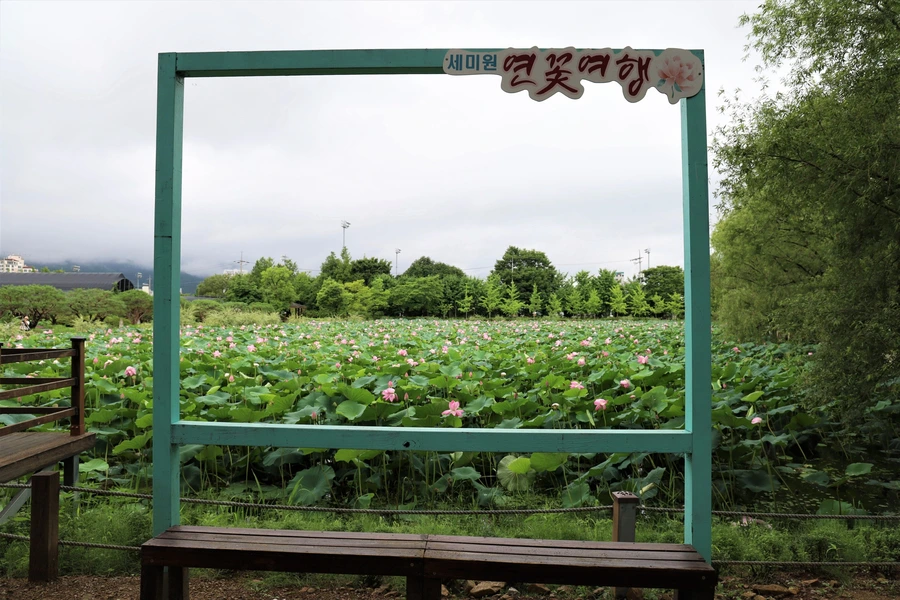 SE-2c31523c-c5b9-41ba-8f21-5e3e48c4ea8b.jpg?type=w1