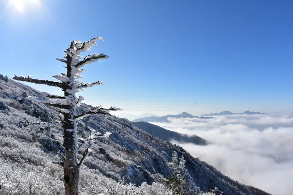 11%EC%9B%9426%EC%9D%BC_(102).JPG?type=w966