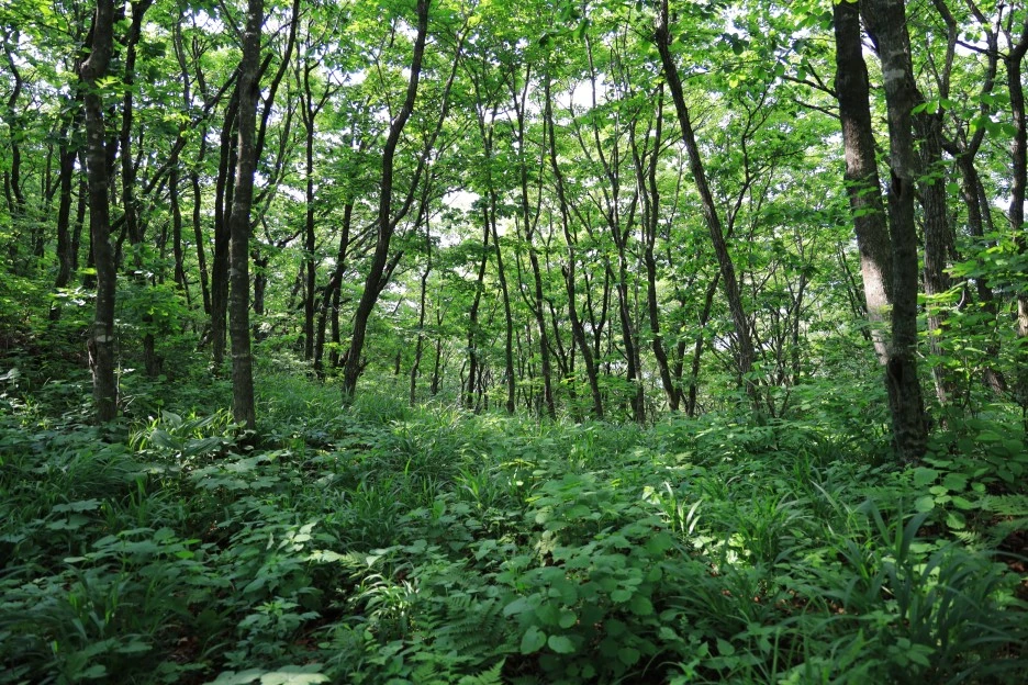 6%EC%9B%9414%EC%9D%BC_(25).JPG?type=w1