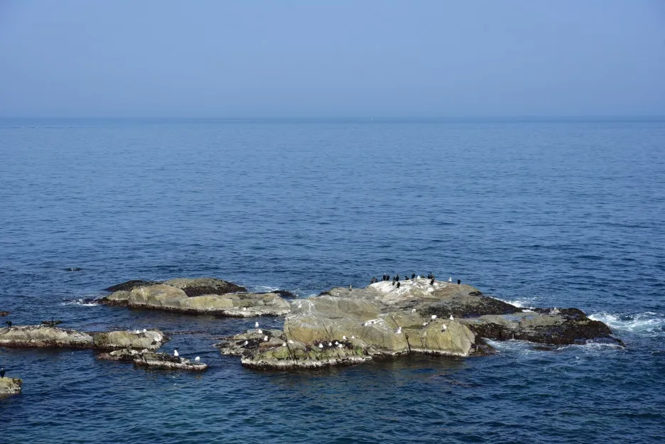 3%EC%9B%9411%EC%9D%BC_(14).JPG?type=w1