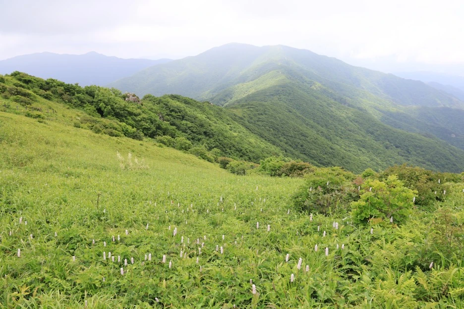 6%EC%9B%9428%EC%9D%BC_(324).JPG?type=w1