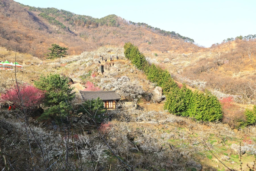 SE-ccb70de8-90fc-4040-ad23-dfbac9155653.jpg?type=w1