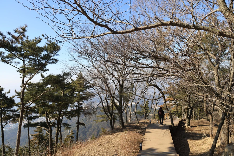 SE-e708dd44-b6c1-4f4d-88bc-6b9b278149fb.jpg?type=w1