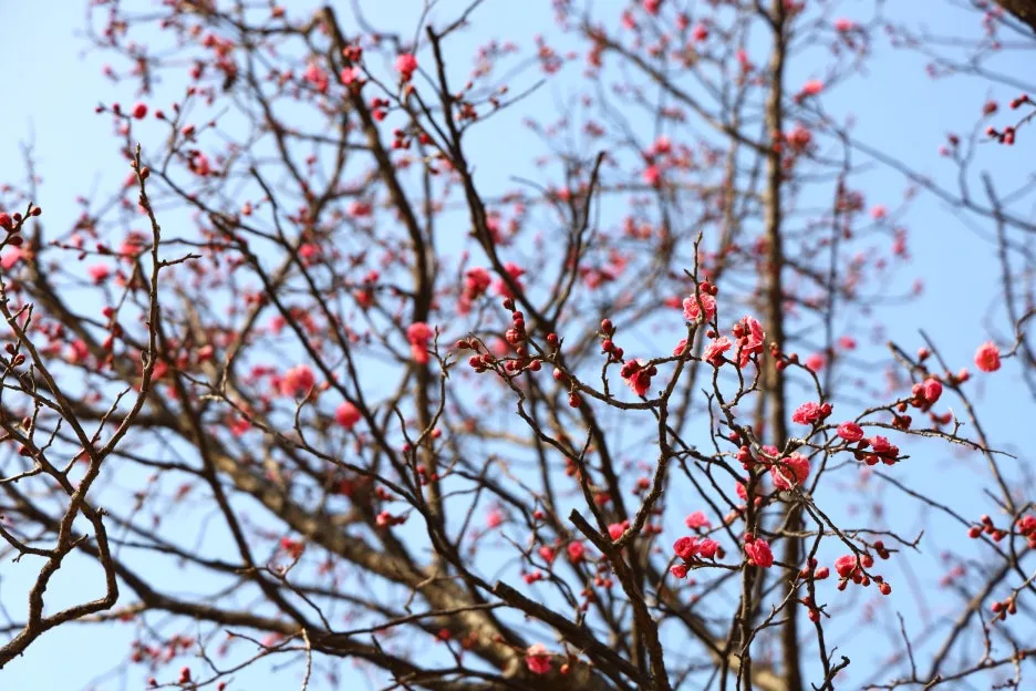 2%EC%9B%9426%EC%9D%BC_(160).JPG?type=w1