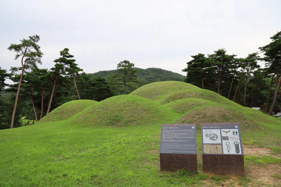 SE-15a42d21-2fca-41bb-ade4-93d1457fa973.jpg?type=w1