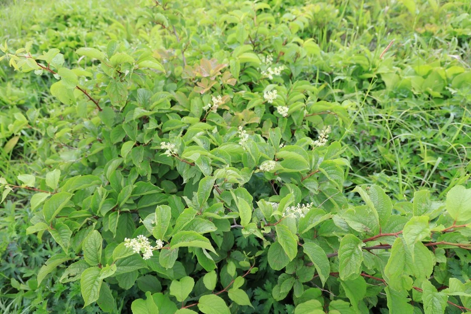 6%EC%9B%9428%EC%9D%BC_(331).JPG?type=w1