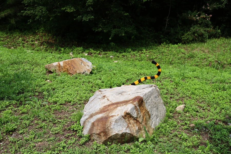 SE-df7449fa-ac13-4c5c-b2c3-9f907e275bce.jpg?type=w1