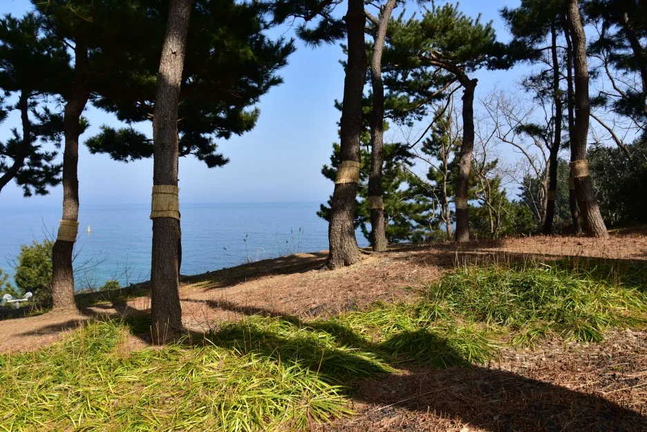 3%EC%9B%9411%EC%9D%BC_(35).JPG?type=w1