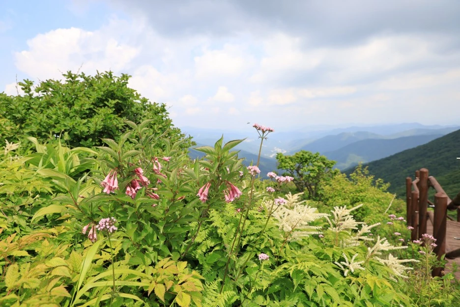 6%EC%9B%9414%EC%9D%BC_(214).JPG?type=w1