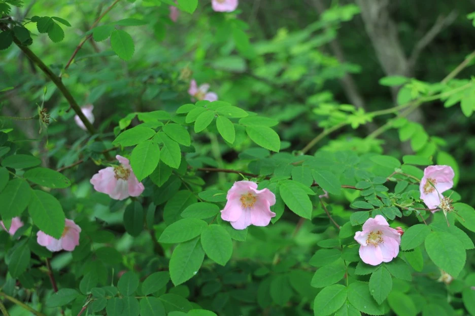 6%EC%9B%9414%EC%9D%BC_(290).JPG?type=w1