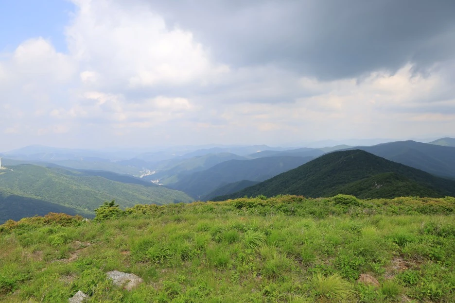 6%EC%9B%9414%EC%9D%BC_(166).JPG?type=w1