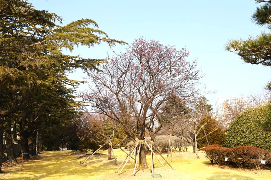 2%EC%9B%9426%EC%9D%BC_(162).JPG?type=w1