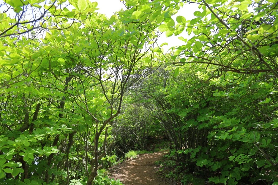 5%EC%9B%9410%EC%9D%BC_(47).JPG?type=w1