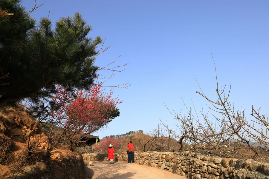 SE-a12fa9dc-3e79-4d7d-ad0e-f1c16fe42275.jpg?type=w1