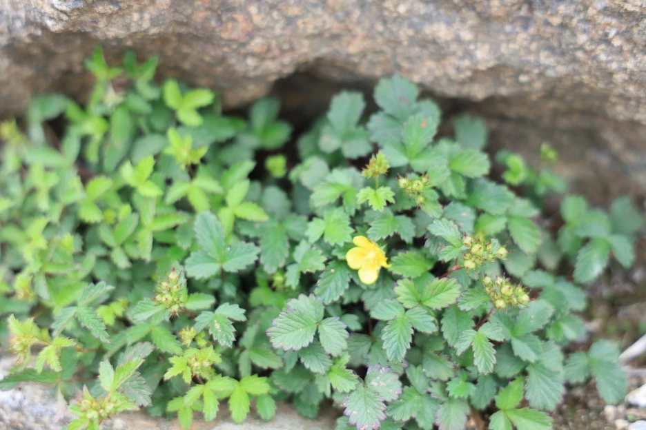 6%EC%9B%9428%EC%9D%BC_(304).JPG?type=w1