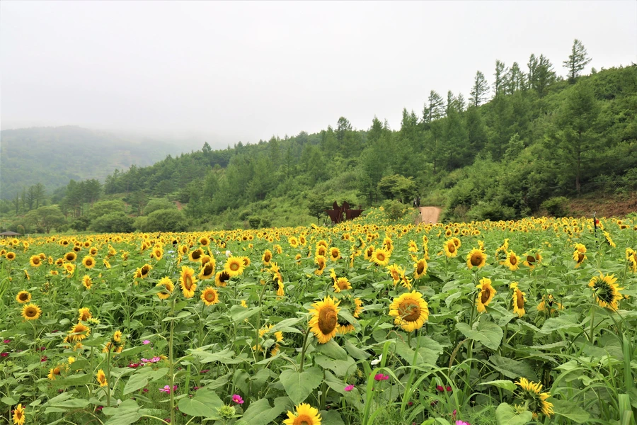 SE-ad92a07a-8f73-4f91-8cae-afeb67b09fa1.jpg?type=w1