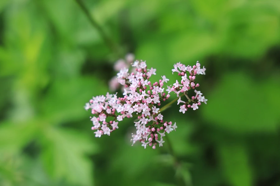 SE-14c8dcc4-105d-4e5b-a667-b5118d31bb58.jpg?type=w1