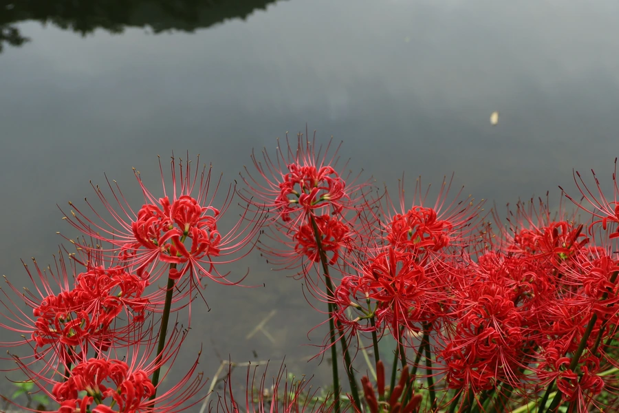 SE-bc1c4173-3686-41c4-82bd-8dca9654d380.jpg?type=w1